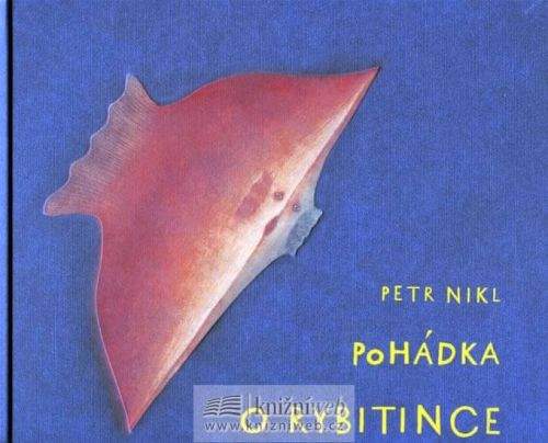 Petr Nikl: Pohádka o Rybitince