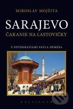 Miroslav Mojžita: Sarajevo