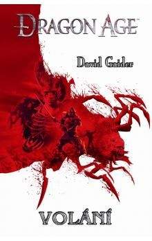 David Gaider: Dragon Age: Volání