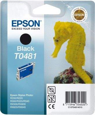 EPSON Ink ctrg černá proRX500/RX600/R300/R200