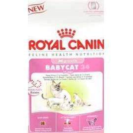 ROYAL Canin Baby Cat 2 kg