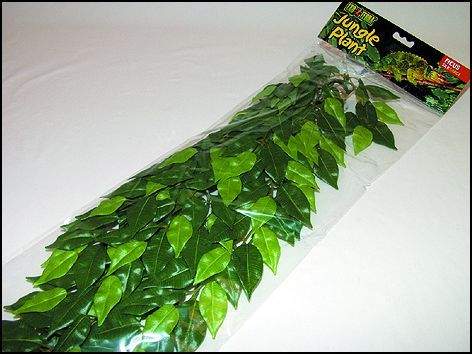 HAGEN Rostlina Ficus velká 70 cm (107-PT3050)