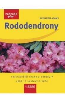 Katharina Adams: Rododendrony
