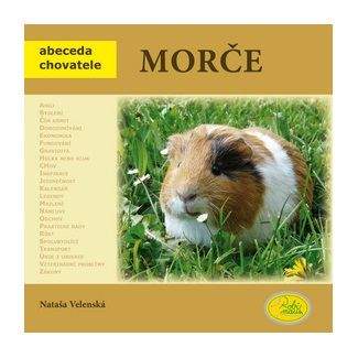 Nataša Velenská: Morče