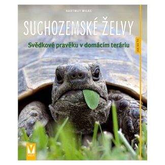 Hartmut Wilke: Suchozemské želvy - Jak na to