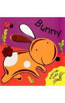3C Publishing Bunny - Pop Up Book