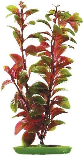 HAGEN Rostlina Red Ludwigia 50 cm (101-PP2019)