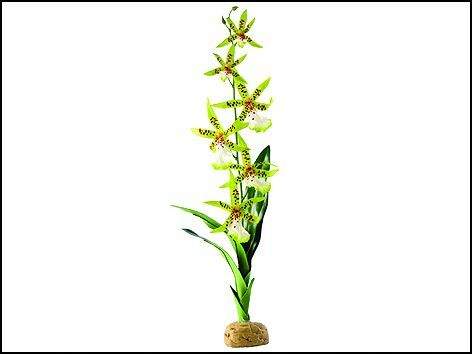 HAGEN ExoTerra Spider Orchid (107-PT2991)