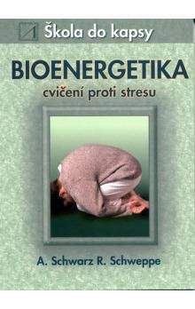 Aljoscha A. Schwarz, Ronald P. Schweppe: Bioenergetika - cvičení proti stresu - Škola do kapsy