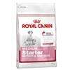 Royal Canin MEDIUM STARTER 1kg