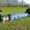 TRIXIE Agility tunel - malý pes, štěně, 40cm/2m - modrý