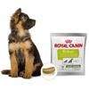 Royal Canin EDUC 50g