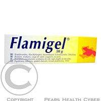 FLENPHARMA Flamigel 50ml hydrokoloid.gel na hojení ran