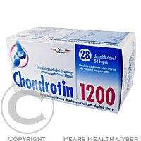 ORLING Chondrotin 1200 cps.84/28 denních dávek