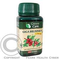VITA HARMONY VitaHarmony Giga Brusinky 7.700 mg tbl.60