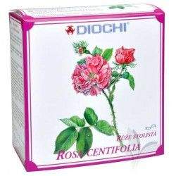 Diochi Rosa centifolia (růže stolistá) - čaj 50 g