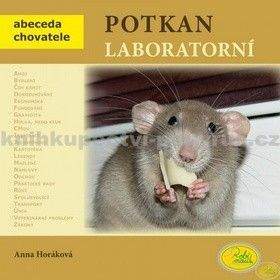 Anna Horáková: Potkan Laboratorní - Abeceda chovatele