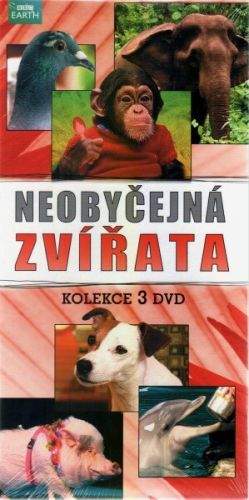 Hollywood C.E. Neobyčejná zvířata - 3xDVD (papírový obal) - BBC DVD