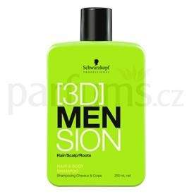 Schwarzkopf Professional 3DMENSION šampon a sprchový gel 2 v 1 pro všechny typy vlasů (Hair & Body Shampoo)