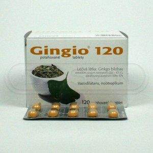 Gingio 120 mg 120 tablet