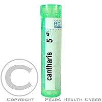 CANTHARIS CH5 granule 4 g