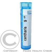 CANTHARIS CH9 granule 4 g