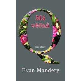 Evan Mandery: Má věčná Q