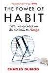 Duhigg Charles: The Power of Habit: Why We Do What We Do, and How to Change