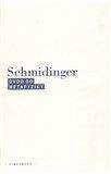 Heinrich Schmidinger: Úvod do metafyziky
