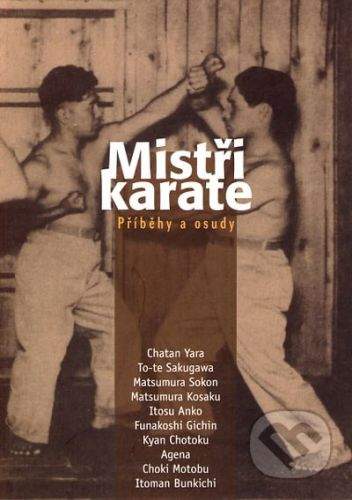 Temple Mistři karate -