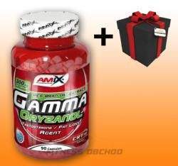 Amix Gamma Oryzanol 300 mg 90 kapslí