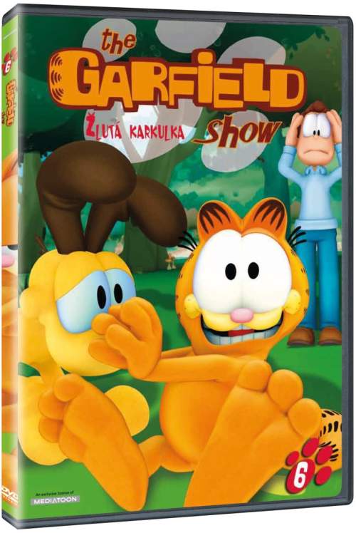 Garfield 6 DVD