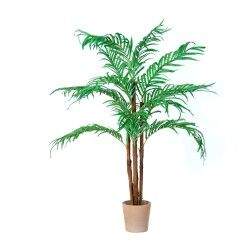OEM Kokosová palma 150 cm