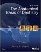 Elsevier Ltd Anatomical Basis of Dentistry - Liebgott, B.
