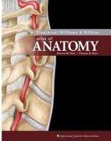 NBN International Ltd LWW Atlas of Anatomy - Tank, P. W.