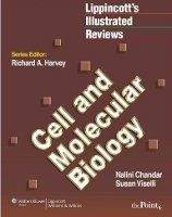 NBN International Ltd Lippincott´s Illustrated Reviews: Cell and Moleculat Biology...