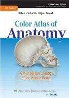 NBN International Ltd Color Atlas of Anatomy (Rohen) - Rohen, J. W., Lutjen, Dreco...