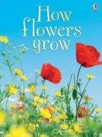 Usborne Publishing USBORNE BEGINNERS: HOW FLOWERS GROW - HELBROUGH, E.