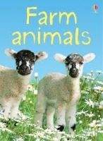 Usborne Publishing USBORNE BEGINNERS: FARM ANIMALS - DAYNES, K.