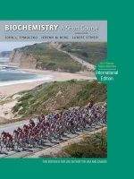Macmillan Distribution Biochemistry: Short Course - Tymoczko, J.L., Berg, J.M., Str...