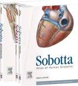 Elsevier Books Sobotta Atlas of Human Anatomy 3 Volumes Latin - Paulsen, F.