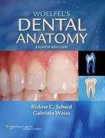 NBN International Ltd Woelfel´s Dental Anatomy - Scheid, R.C., Weiss, G.