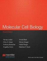 Macmillan Distribution Molecular Cell Biology - Lodish, H., Berk, A., Kaiser, Ch.A....