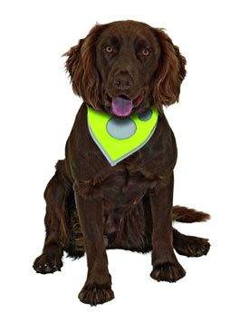 KARLIE Safety Dog šátek na krk 24-30 cm