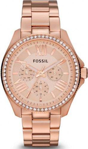 Fossil AM 4483