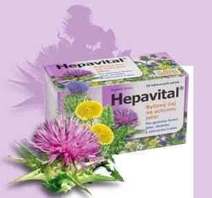 Hepavital bylinný čaj n.s.20x1,5 g
