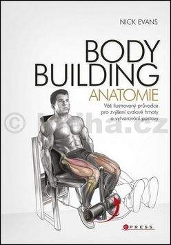 Nick Evans: Bodybuilding  - anatomie