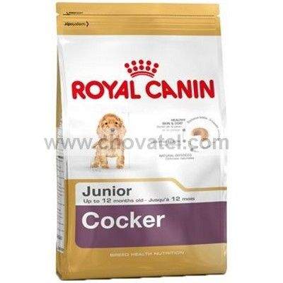 Royal Canin BHN Cocker junior 3 kg