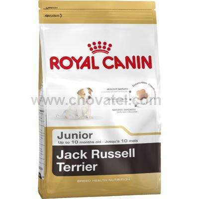 Royal Canin BHN Jack Russell Junior 500 g