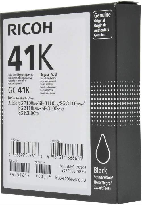 Ricoh GC41K černá